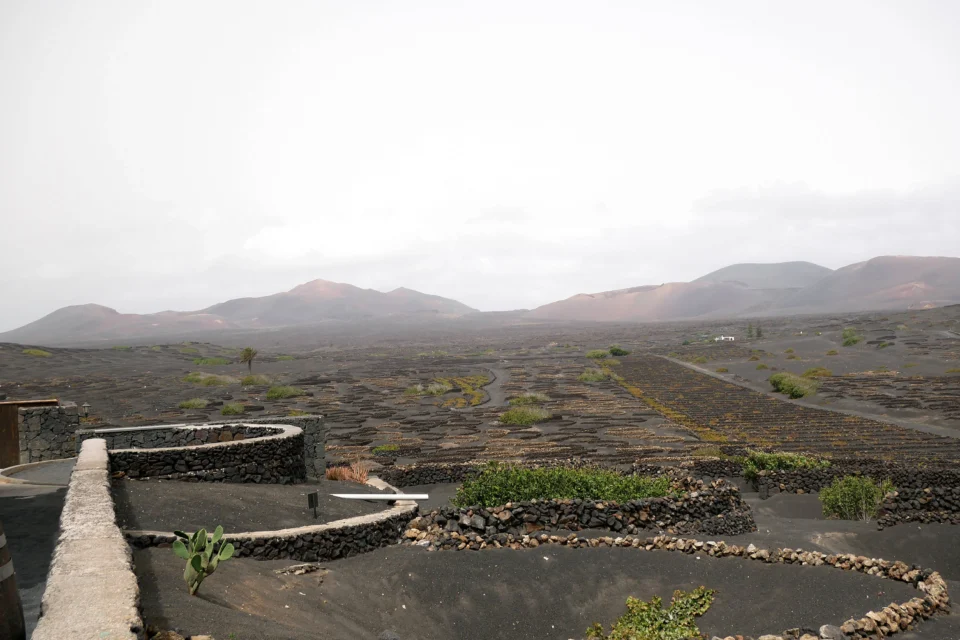 P1000850 960x640